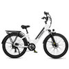 GTXR Z8 20 pollici pneumatico bicicletta velocità 45 km/h 500 W 48 V 15,6 Ah 41,5 kg potente