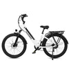 GTXR Z8 20 pollici pneumatico bicicletta velocità 45 km/h 500 W 48 V 15,6 Ah 41,5 kg potente