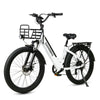 GTXR Z8 20 pollici pneumatico bicicletta velocità 45 km/h 500 W 48 V 15,6 Ah 41,5 kg potente