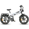 GTXR Z8 20 pollici pneumatico bicicletta velocità 45 km/h 500 W 48 V 15,6 Ah 41,5 kg potente