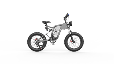 GTXR X20 All-Terrain Electric Bike