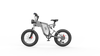 GTXR X20 All-Terrain Electric Bike