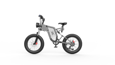 GTXR X20 All-Terrain Electric Bike