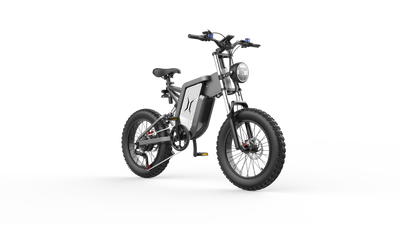 GTXR X20 All-Terrain Electric Bike