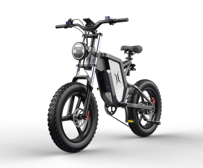 GTXR X20 All-Terrain Electric Bike