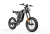 GTXR X21 All-Terrain Electric Bike