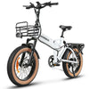 GTXR Z8 20 pollici pneumatico bicicletta velocità 45 km/h 500 W 48 V 15,6 Ah 41,5 kg potente