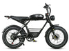 GTXR  & SAMEBIKE M20 1000W Electric Bike