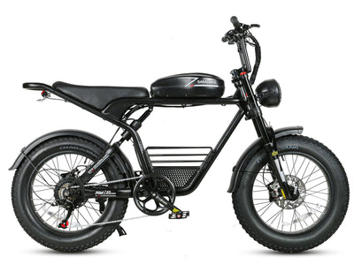 GTXR& SAMEBIKE M20 1000W Electric Bike