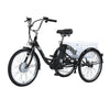 GTXR &amp; GOGOBEST GF100 Electric City Tricycle Cargo Ebike 