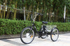 GTXR & GOGOBEST GF100 Electric City Tricycle Cargo Ebike