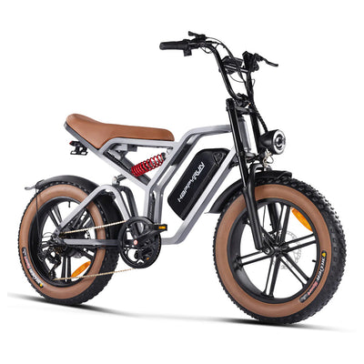 GTXR& Happyrun Tank G60 750W Electric Bike