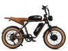 GTXR  & SAMEBIKE M20-III 2000W Electric Bicycle