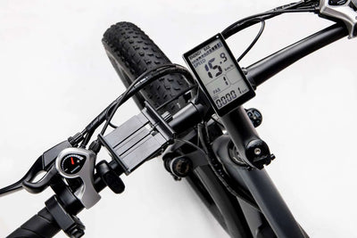 GTXR & Ridstar E Bike E26 1000W Motor 48V 15.6AH Battery【Prévente】