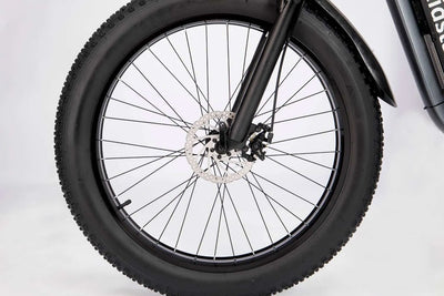 GTXR & Ridstar E Bike E26 1000W Motor 48V 15.6AH Battery【Prévente】