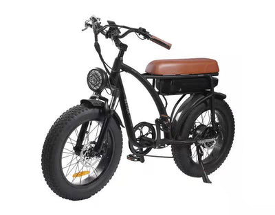 BEZIOR XF001 Motore elettrico per pneumatici grassi da 20 pollici Velocità 45 km/h 1000W 12,5 Ah Potente 33 kg