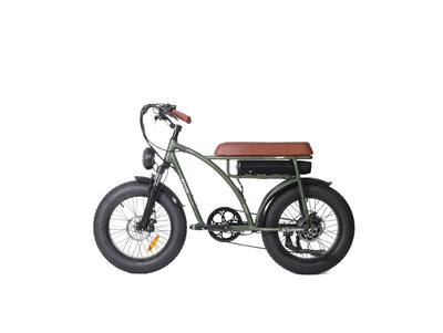 BEZIOR XF001 Motore elettrico per pneumatici grassi da 20 pollici Velocità 45 km/h 1000W 12,5 Ah Potente 33 kg