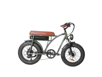 BEZIOR XF001 Motore elettrico per pneumatici grassi da 20 pollici Velocità 45 km/h 1000W 12,5 Ah Potente 33 kg