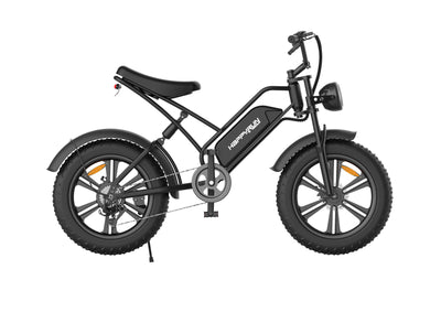 GTXR &amp; Happyrun G50 off-road electric bike 